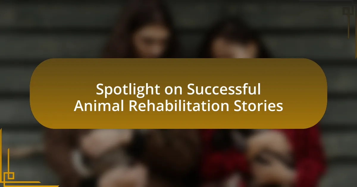 Spotlight on Successful Animal Rehabilitation Stories