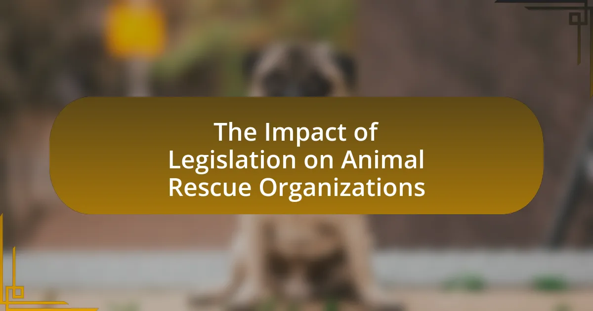 The Impact of Legislation on Animal Rescue Organizations