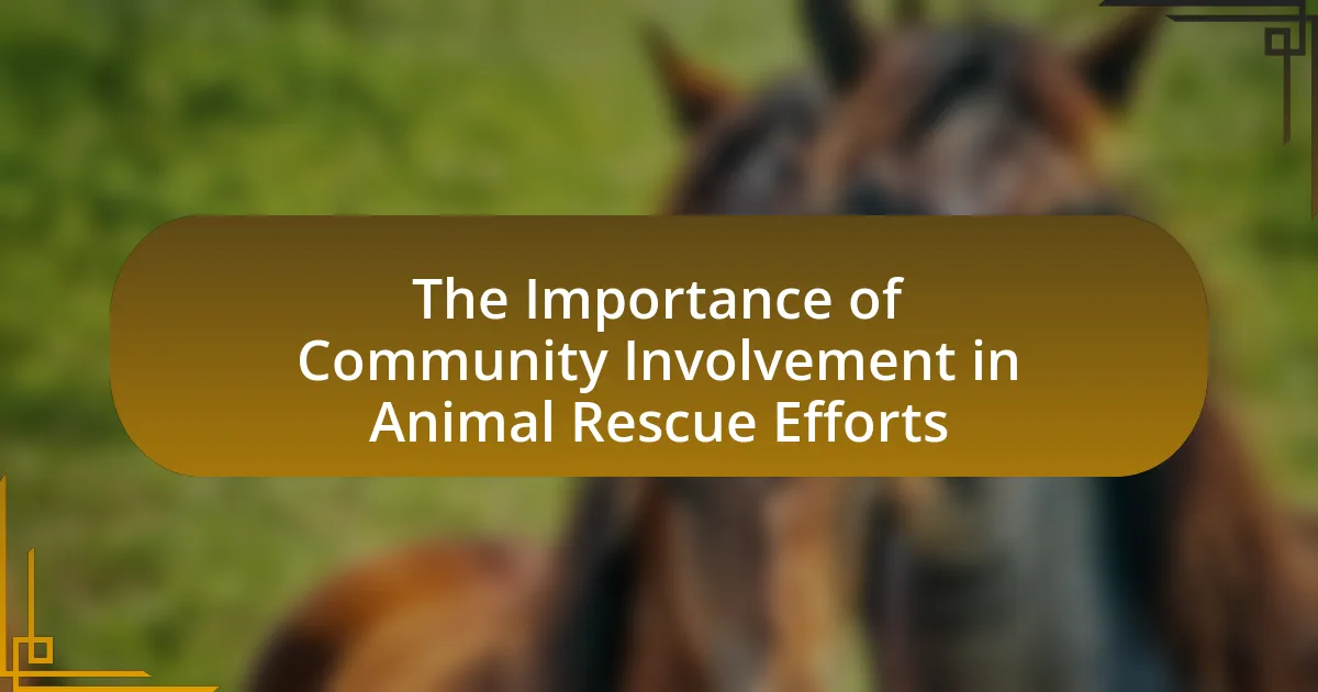 The Importance of Community Involvement in Animal Rescue Efforts