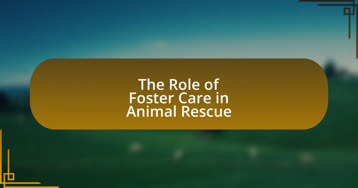 The Role of Foster Care in Animal Rescue
