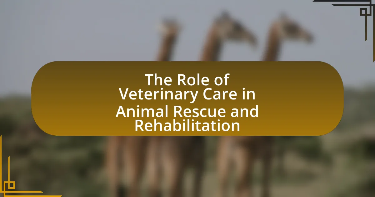 The Role of Veterinary Care in Animal Rescue and Rehabilitation