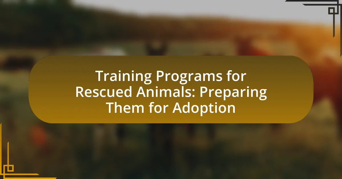 Training Programs for Rescued Animals: Preparing Them for Adoption