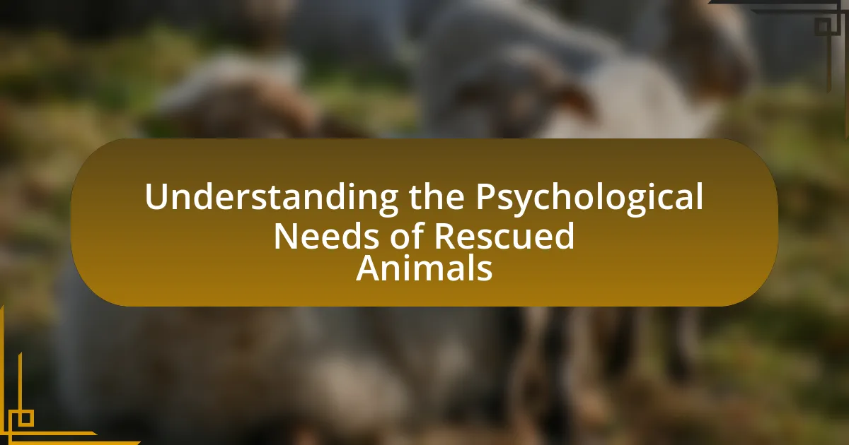 Understanding the Psychological Needs of Rescued Animals
