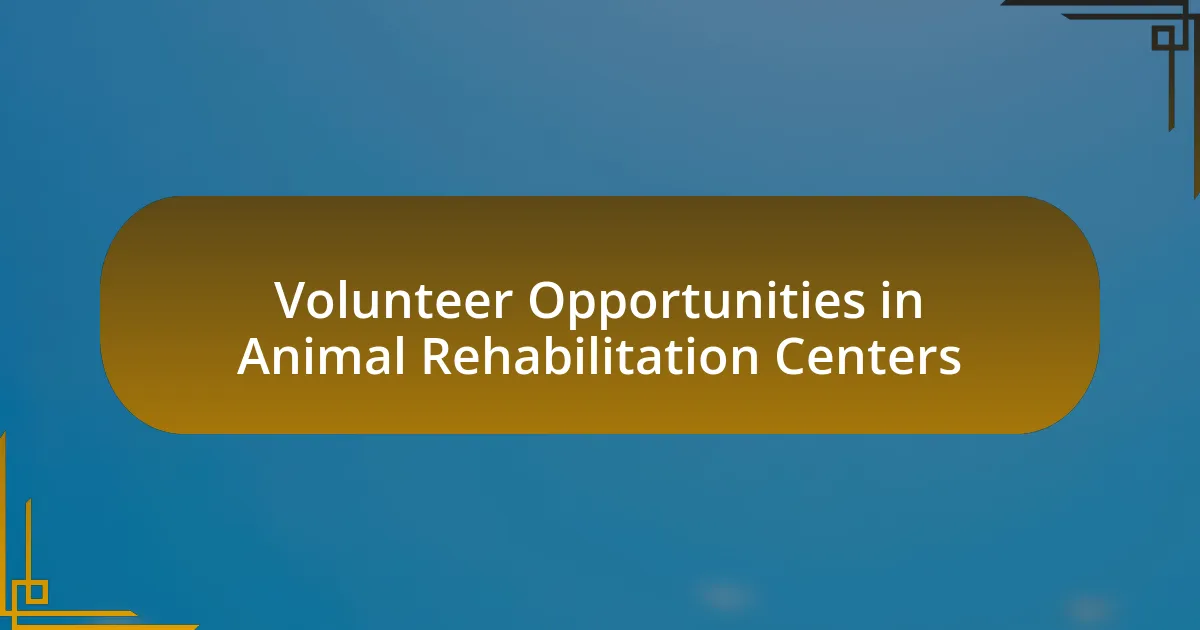 Volunteer Opportunities in Animal Rehabilitation Centers