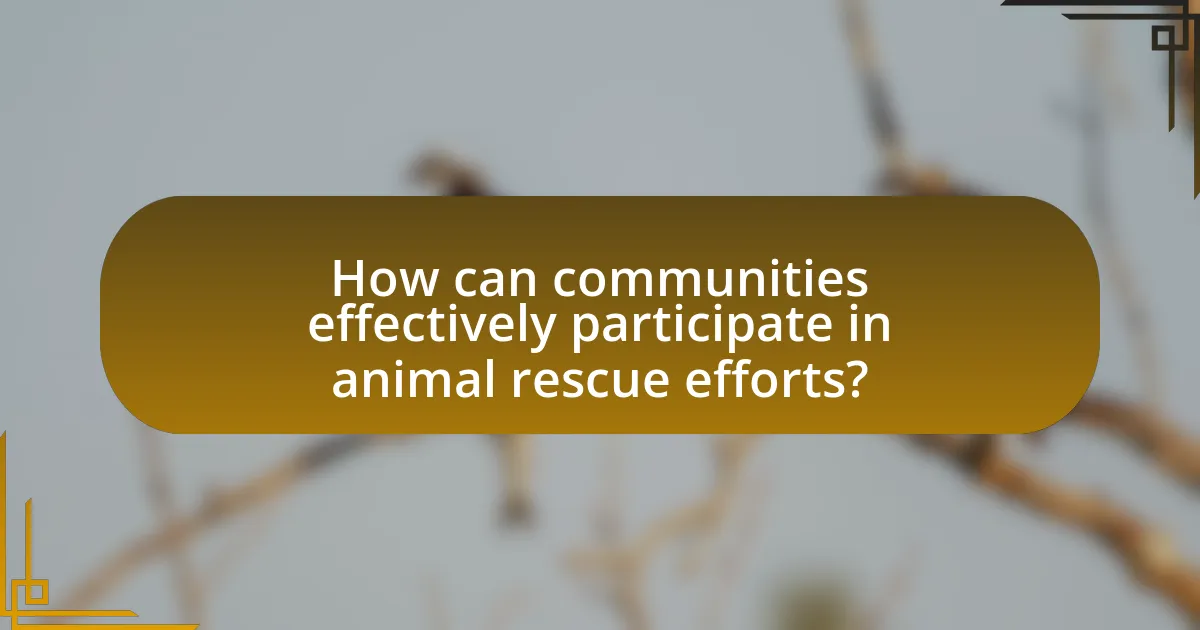 How can communities effectively participate in animal rescue efforts?