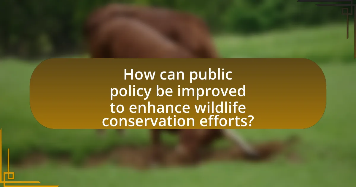 How can public policy be improved to enhance wildlife conservation efforts?