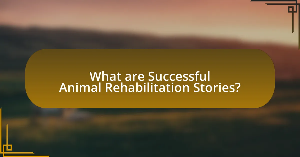 What are Successful Animal Rehabilitation Stories?