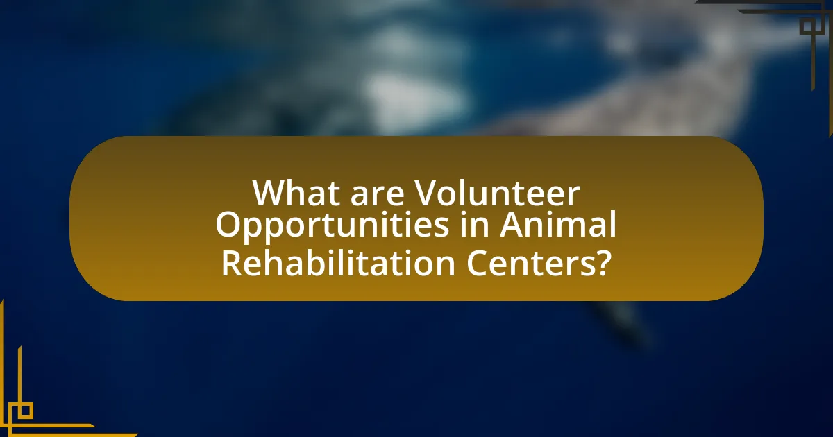 What are Volunteer Opportunities in Animal Rehabilitation Centers?