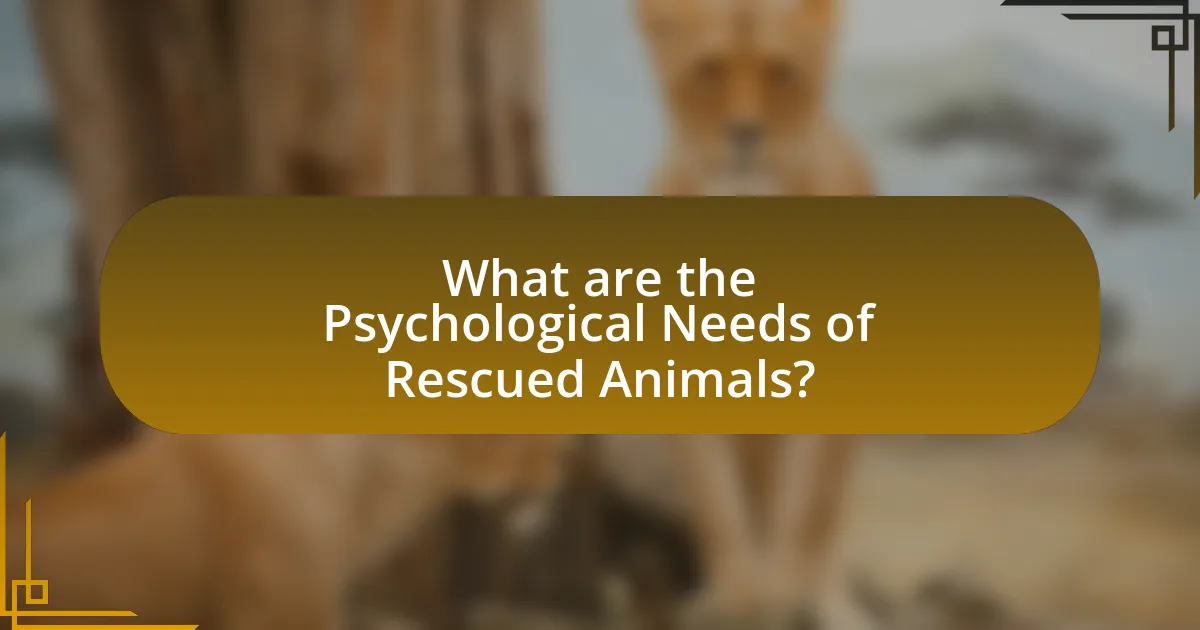 What are the Psychological Needs of Rescued Animals?