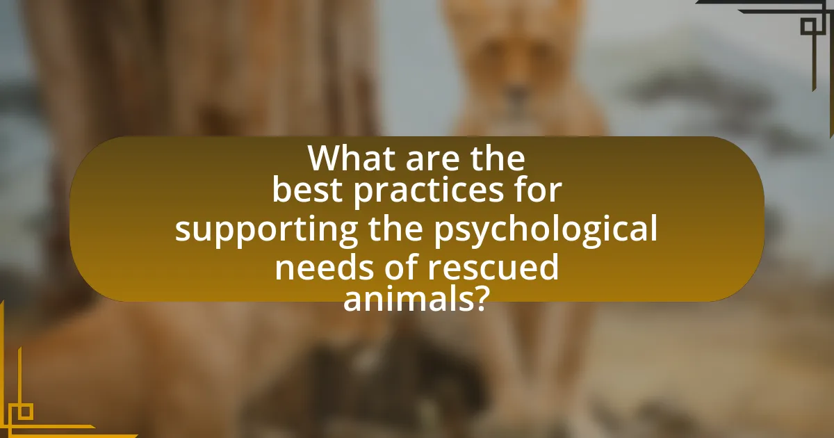 What are the best practices for supporting the psychological needs of rescued animals?