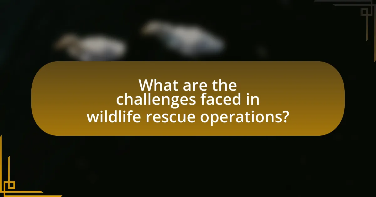 What are the challenges faced in wildlife rescue operations?