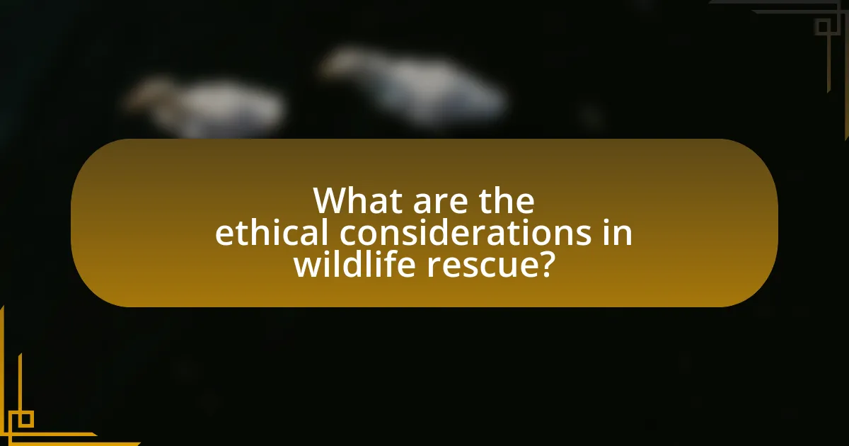 What are the ethical considerations in wildlife rescue?