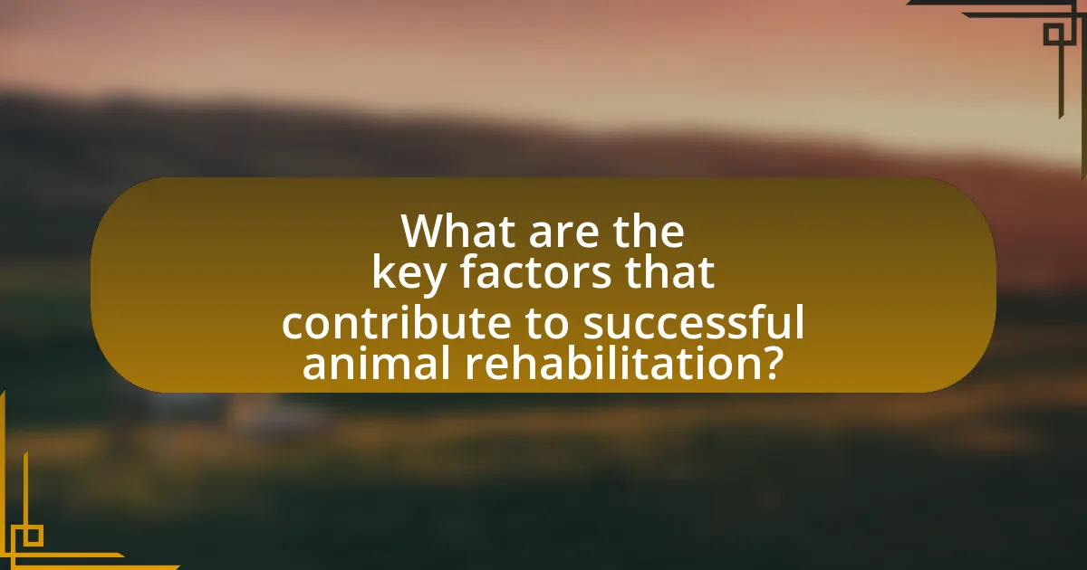 What are the key factors that contribute to successful animal rehabilitation?