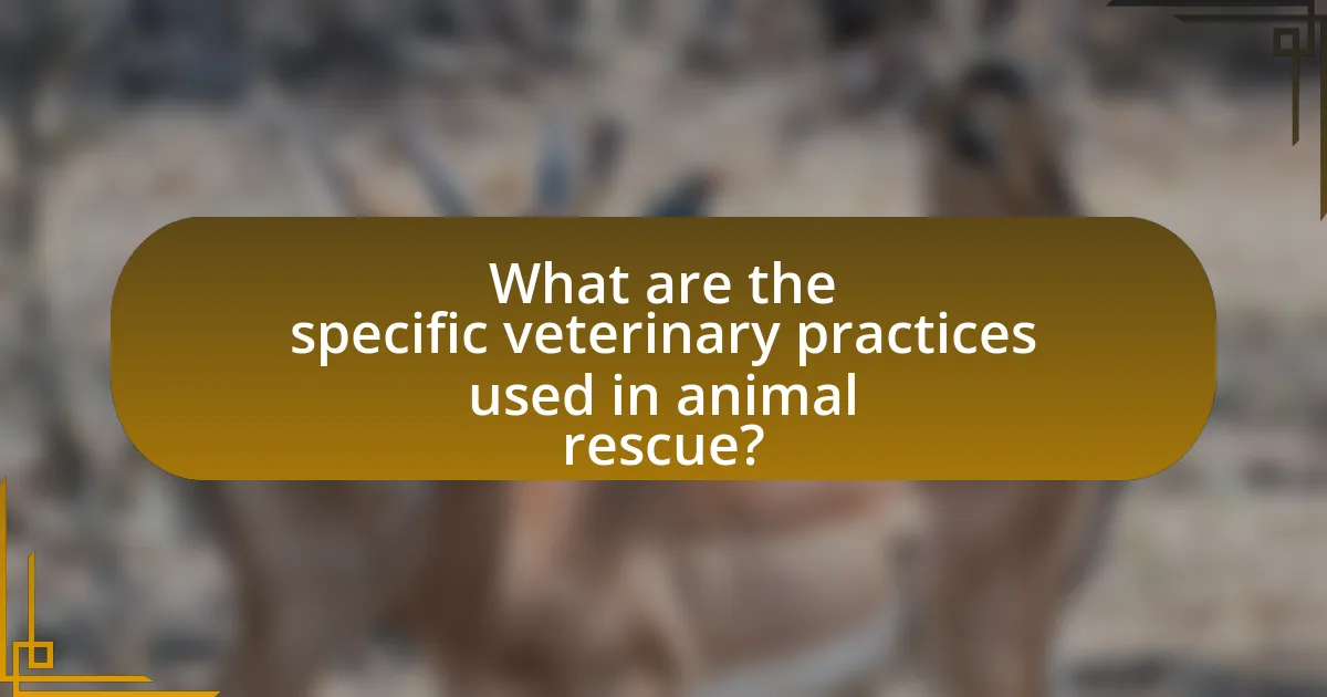 What are the specific veterinary practices used in animal rescue?