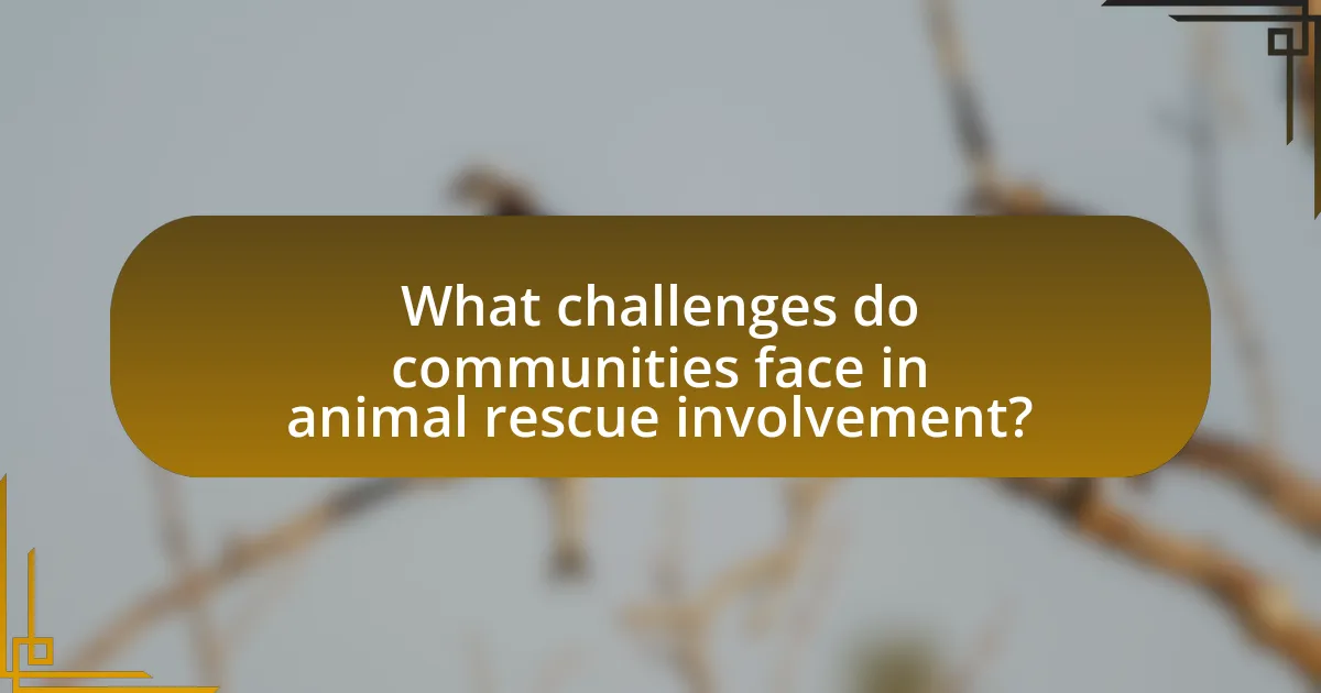 What challenges do communities face in animal rescue involvement?