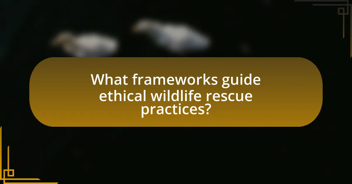 What frameworks guide ethical wildlife rescue practices?