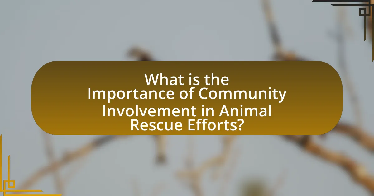 What is the Importance of Community Involvement in Animal Rescue Efforts?