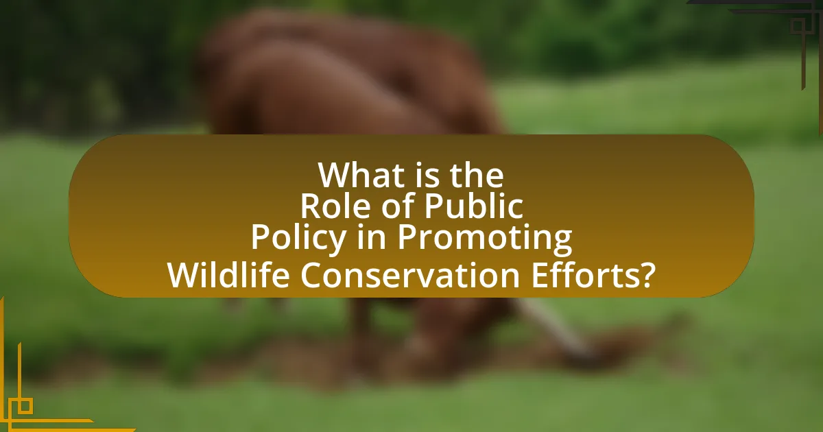 What is the Role of Public Policy in Promoting Wildlife Conservation Efforts?