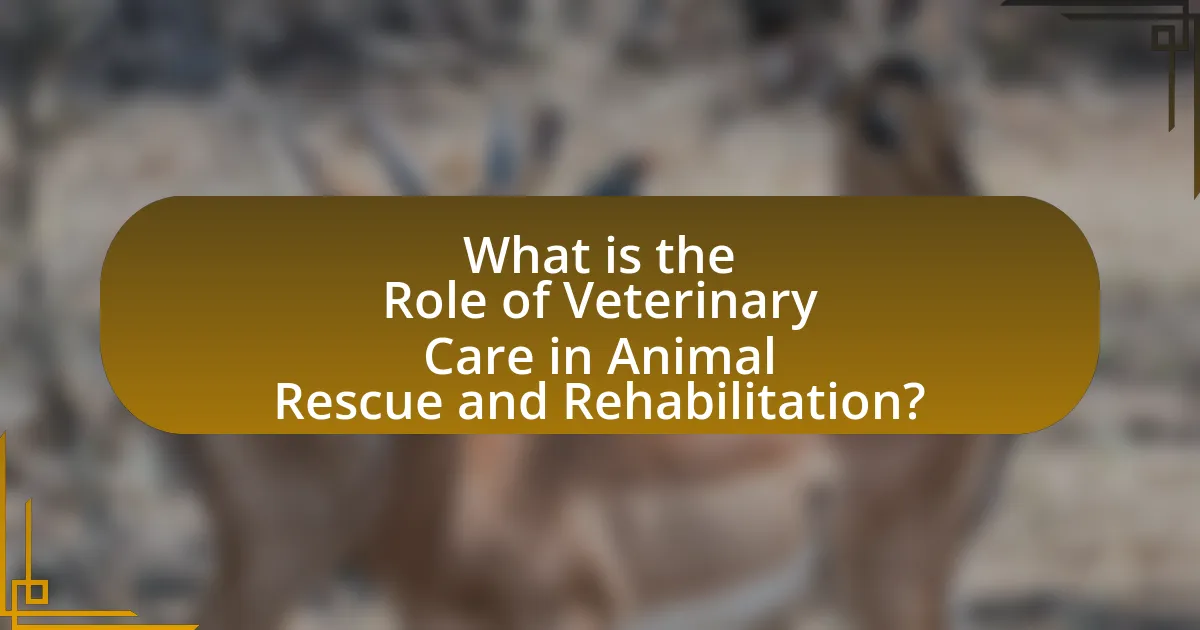 What is the Role of Veterinary Care in Animal Rescue and Rehabilitation?