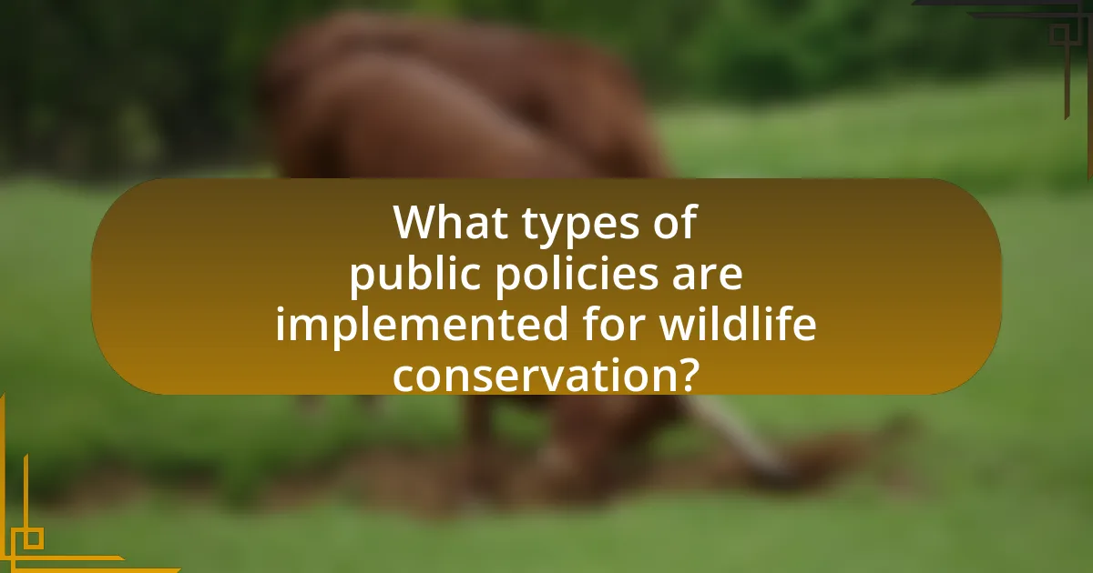 What types of public policies are implemented for wildlife conservation?